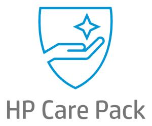 Care Pack - 4 Years Return to Depot Notebook Only SVC (U9EF1E)