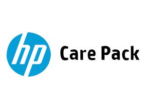 HPE 1 Year FC 24x7 7005 Controller SVC (H2ZT5E)