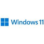 Windows 11 Home N 64bit - 1 Lic - Win - French - USB Stick