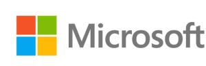 Windows 11 Pro N 64bit - 1 Lic - Win - English Intl - USB Stick