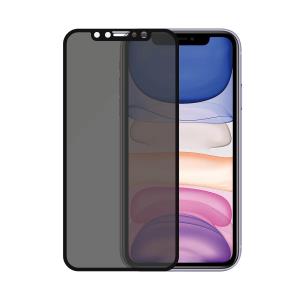 Edge-to-Edge Privacy for iPhone 11/XR