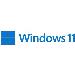 Windows 11 Pro 64bit - 1 Lic - Win - English Intl - USB Stick