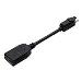 DisplayPort Adapter / DisplayPort - Mini DisplayPort Black